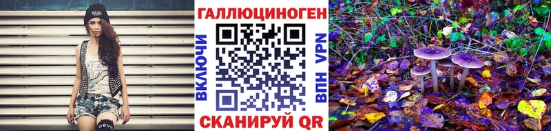 Купить где  Кумертау  Псилоцибиновые грибы Psilocybine cubensis 